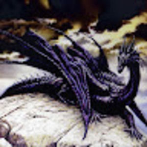 Meet your Posher, Nadia